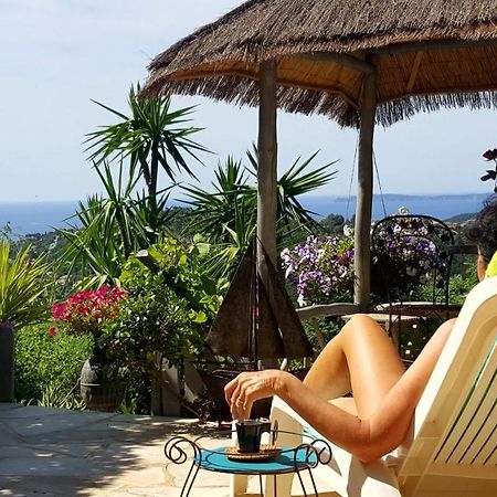 Coeurs de Pirates: Exotic Provencal Spa Retreat Cavalaire-sur-Mer Exterior photo