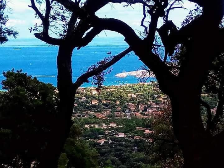 Coeurs de Pirates: Exotic Provencal Spa Retreat Cavalaire-sur-Mer Exterior photo